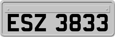 ESZ3833