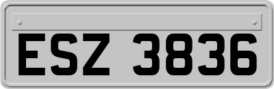 ESZ3836