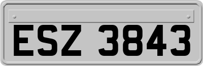 ESZ3843