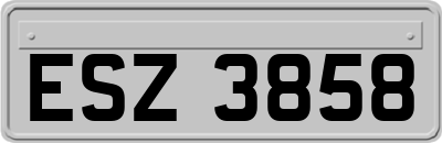ESZ3858