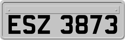 ESZ3873