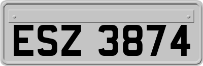 ESZ3874