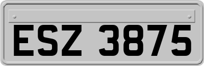 ESZ3875