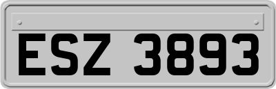 ESZ3893