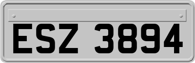 ESZ3894