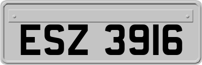 ESZ3916