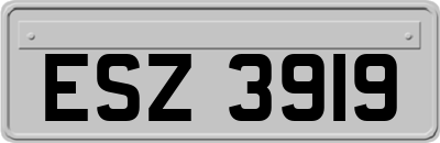 ESZ3919