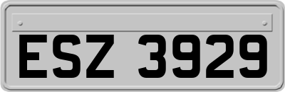 ESZ3929