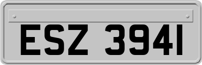 ESZ3941