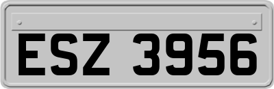ESZ3956