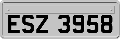 ESZ3958
