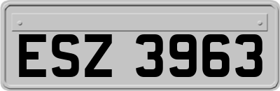 ESZ3963