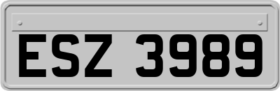ESZ3989