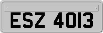 ESZ4013