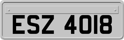 ESZ4018