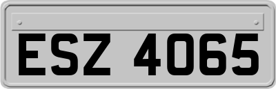 ESZ4065