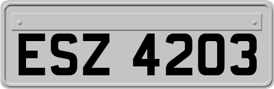ESZ4203