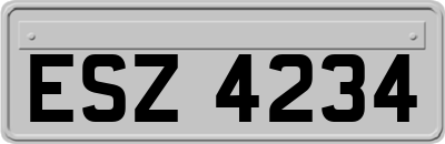 ESZ4234