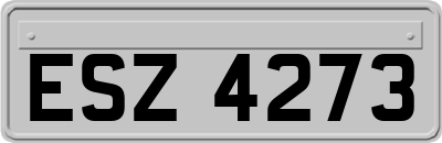 ESZ4273