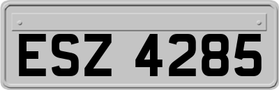 ESZ4285