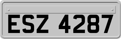 ESZ4287