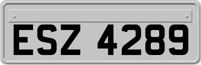 ESZ4289