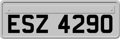 ESZ4290