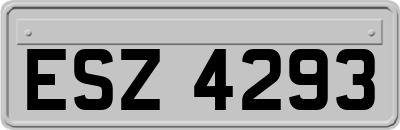 ESZ4293