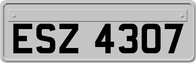 ESZ4307