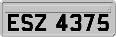 ESZ4375