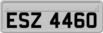ESZ4460