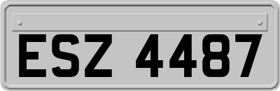 ESZ4487
