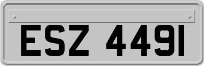 ESZ4491