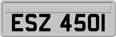 ESZ4501