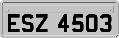 ESZ4503