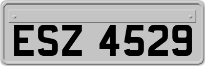ESZ4529