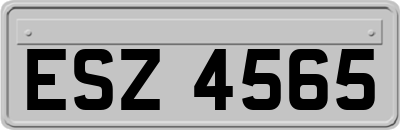 ESZ4565