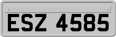 ESZ4585
