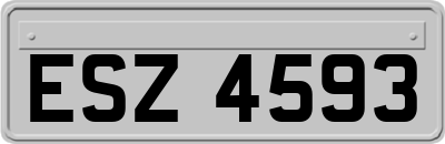ESZ4593