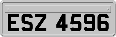 ESZ4596