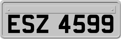 ESZ4599