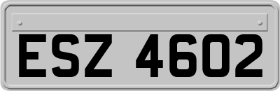 ESZ4602