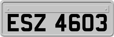 ESZ4603