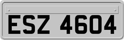 ESZ4604