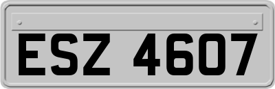 ESZ4607