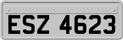 ESZ4623