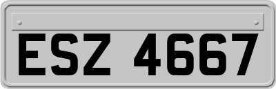 ESZ4667