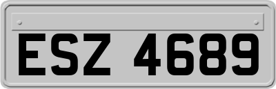 ESZ4689