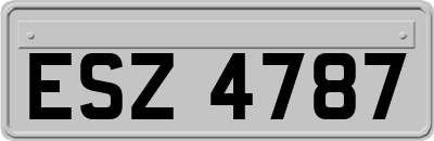 ESZ4787
