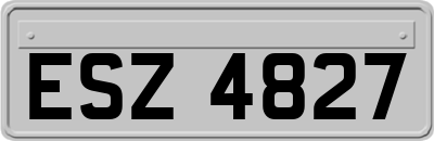 ESZ4827